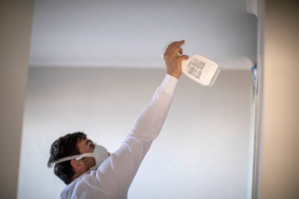 Best Residential Mold Removal  in St James, MO